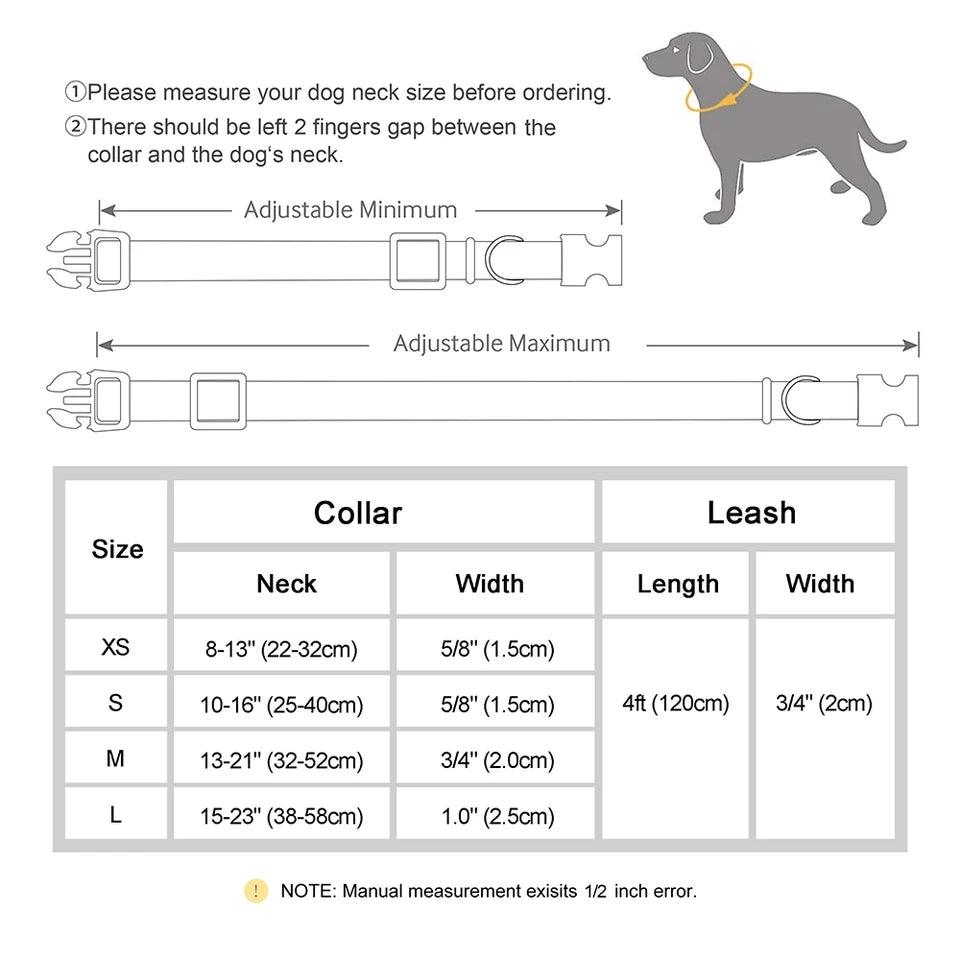 Personalised Dog Collar and Leash Set - Leather