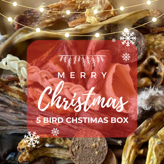 5 Bird Christmas Box for Dogs.