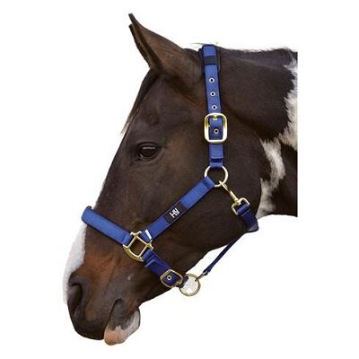 Hy Deluxe Padded Head Collar Navy Full