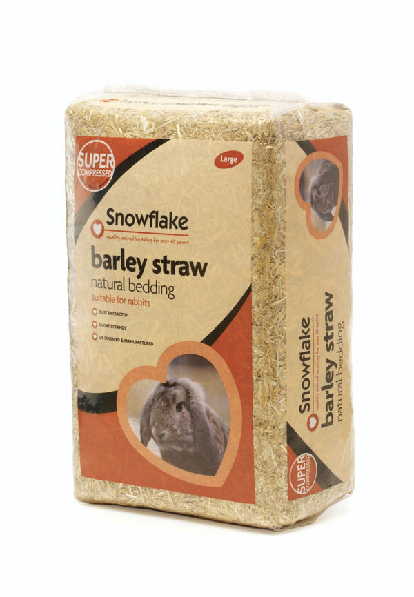 Snowflake Barley Straw Medium
