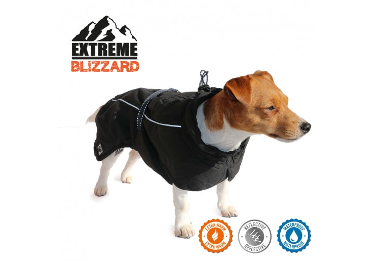 Extreme Blizzard Dog Coat Black 25cm XS