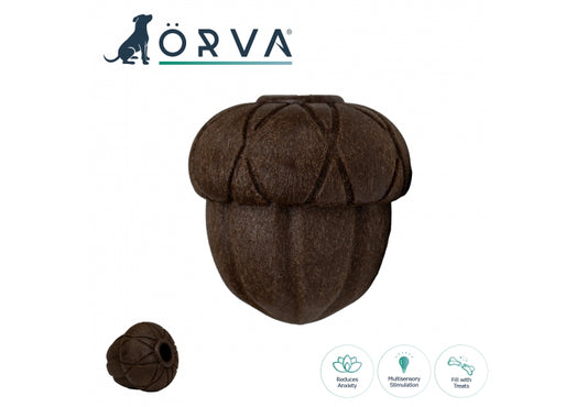 Orva Acorn