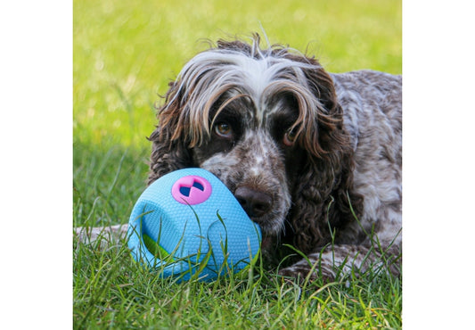 Interactive Treat Ball