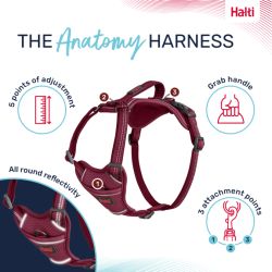 Halti Anatomy Harness Pink