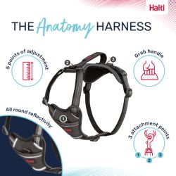 Halti Anatomy Harness Grey