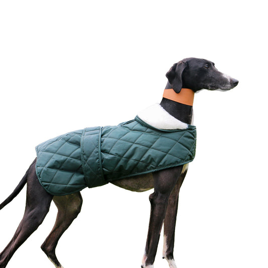 Ancol Muddy Paws Quilted Green Hound Coat Medium