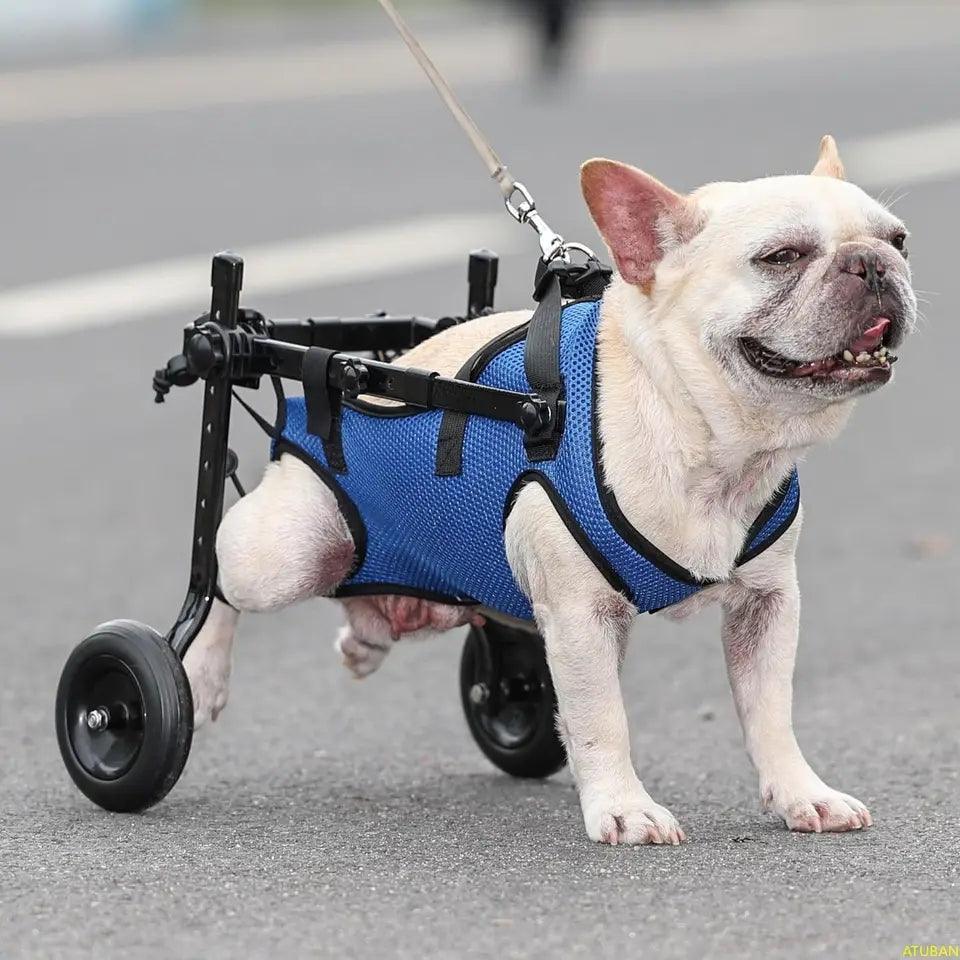 Small Dog Wheelchair