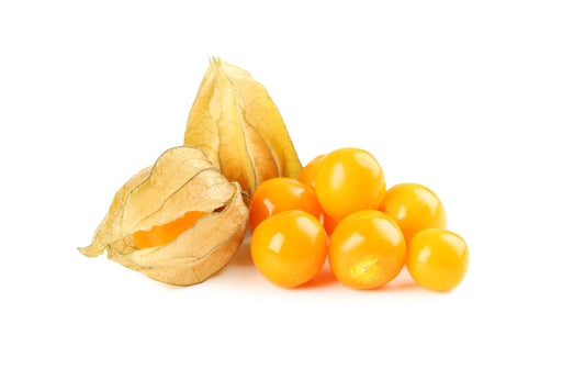 Physalis