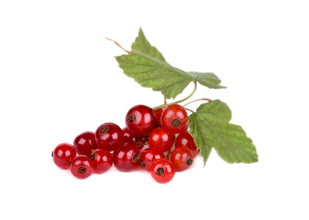 Redcurrant (125g)