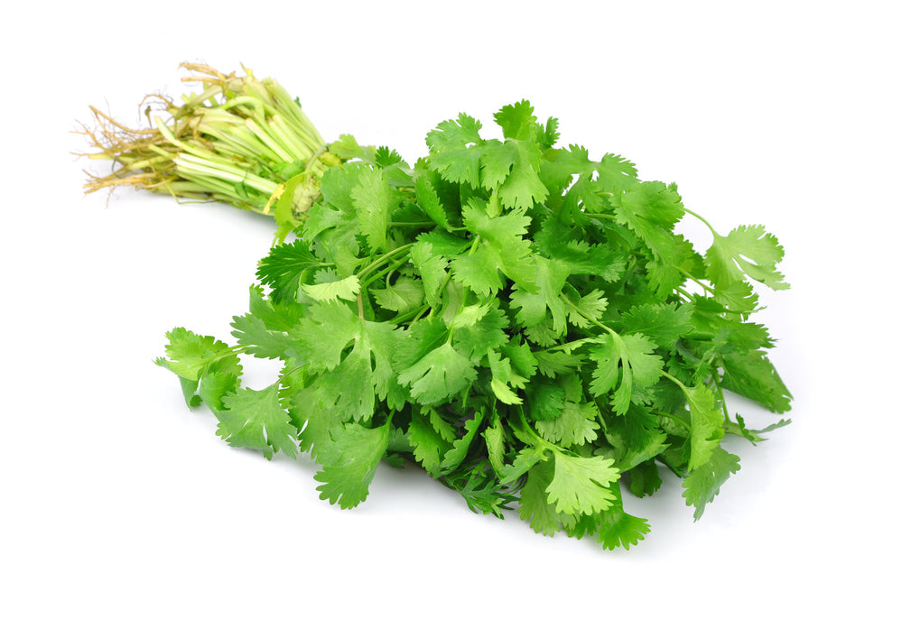 Coriander (100g)