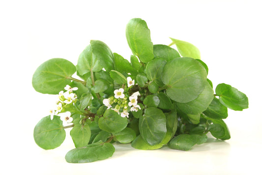 Watercress (100g)