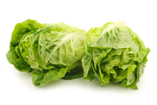 Little Gem Lettuce (2 Pack)