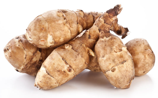 Jerusalem artichoke