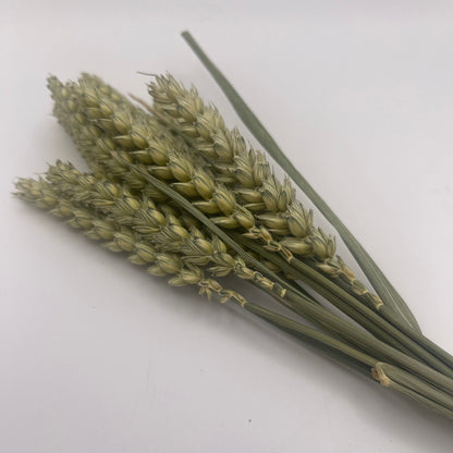 Wheat Sprays