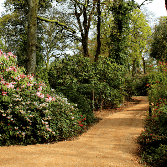 *PRE-ORDER* Hoggin Self Binding Gravel 10mm to dust