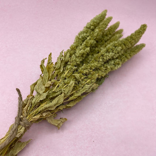 Green Amaranth Sprays