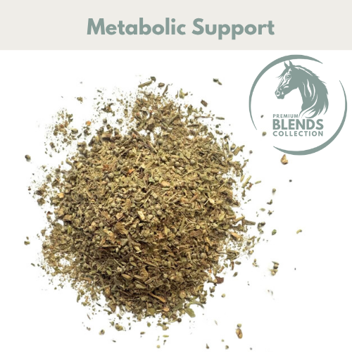 Metabolic Support blend