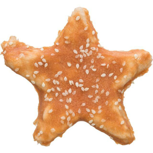 Denta Fun Star with Chicken - CLEARANCE