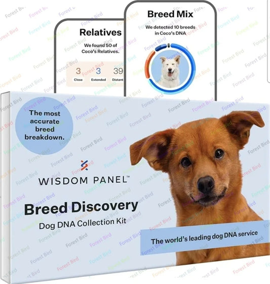 Breed Discovery Dog DNA Kit – Accurate 365+ Breed Identification, MDR1 Health Test, and Ancestry Insights