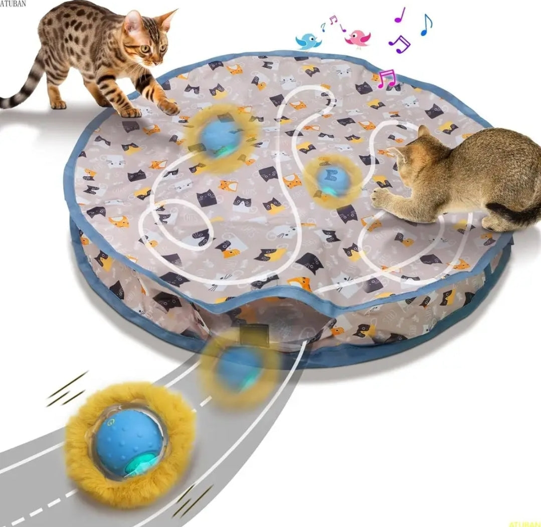 Extra Large Cat Interactive Maze Hunt Toy