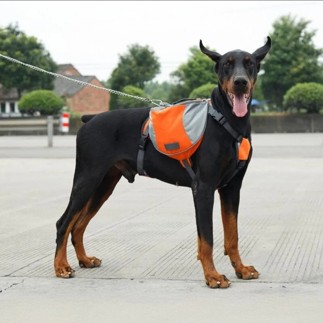 Dog Backpack Harness