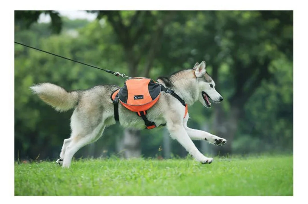 Dog Backpack Harness