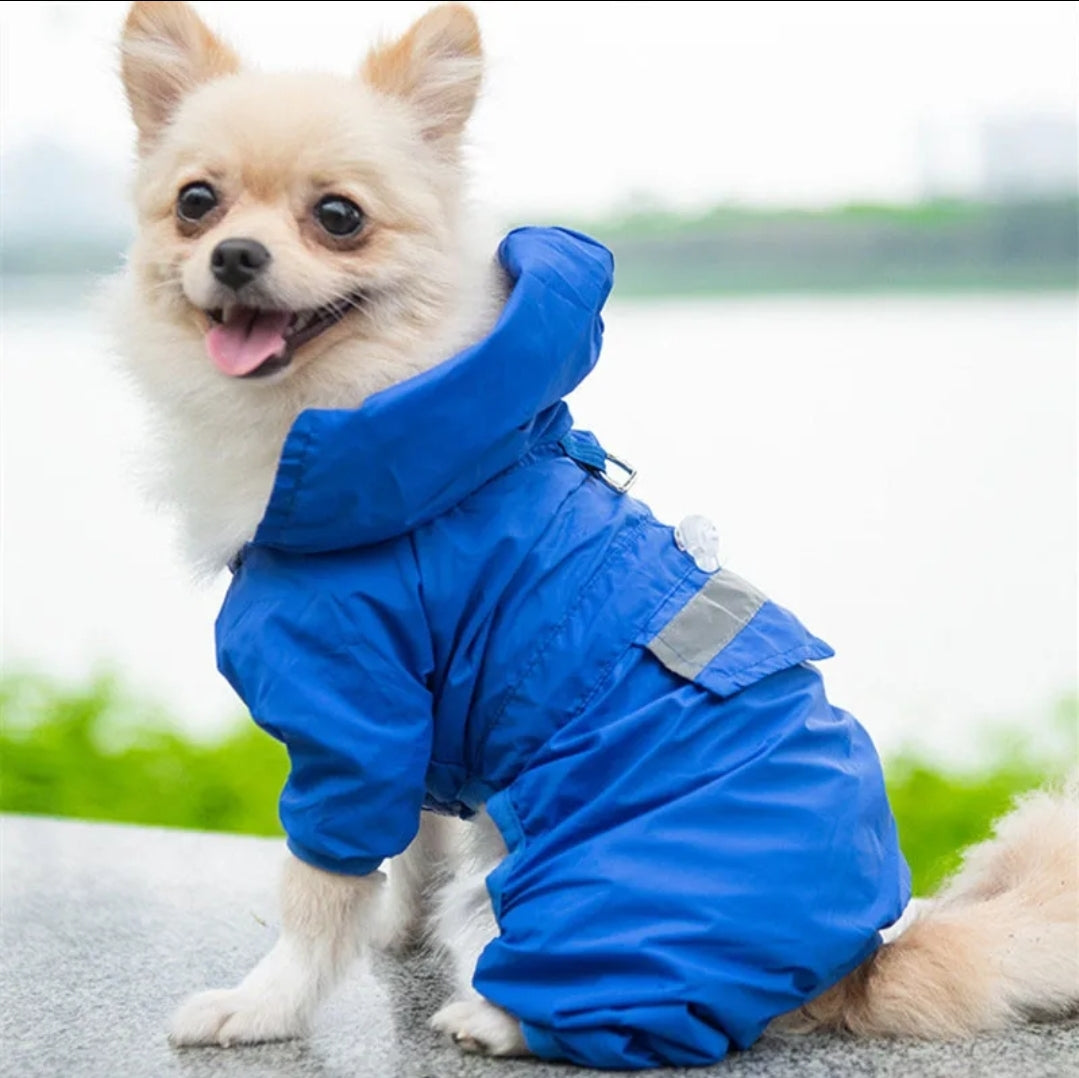 Doggy Raincoat