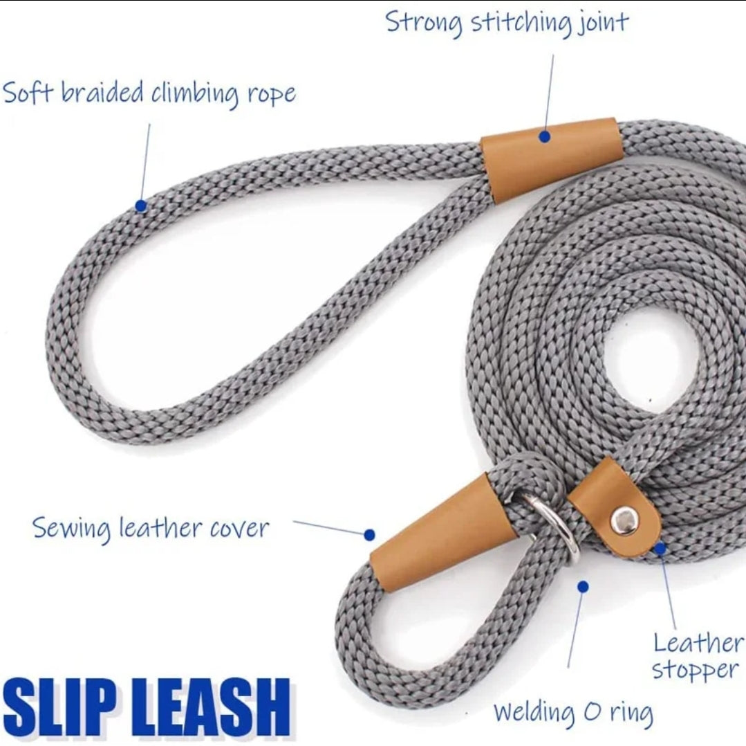 Dog Leash Slip Rope - Budget