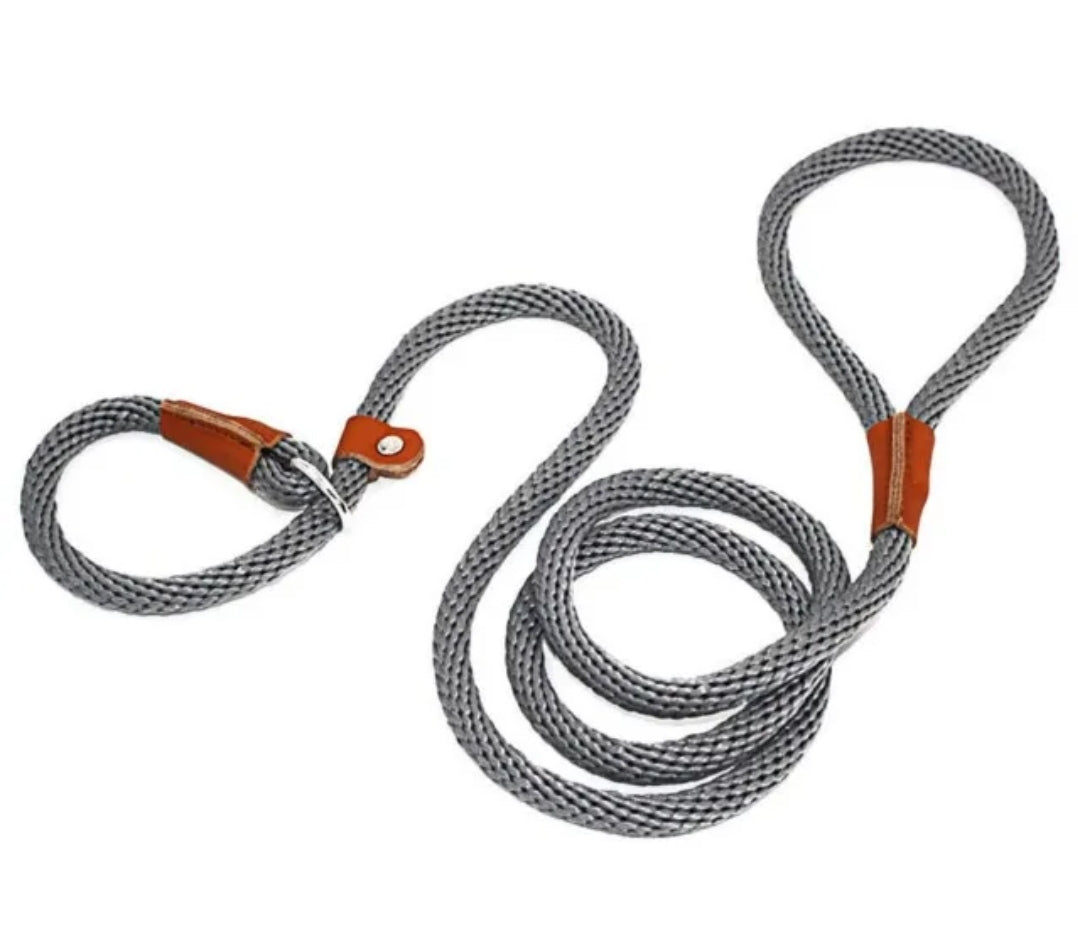 Dog Leash Slip Rope - Budget