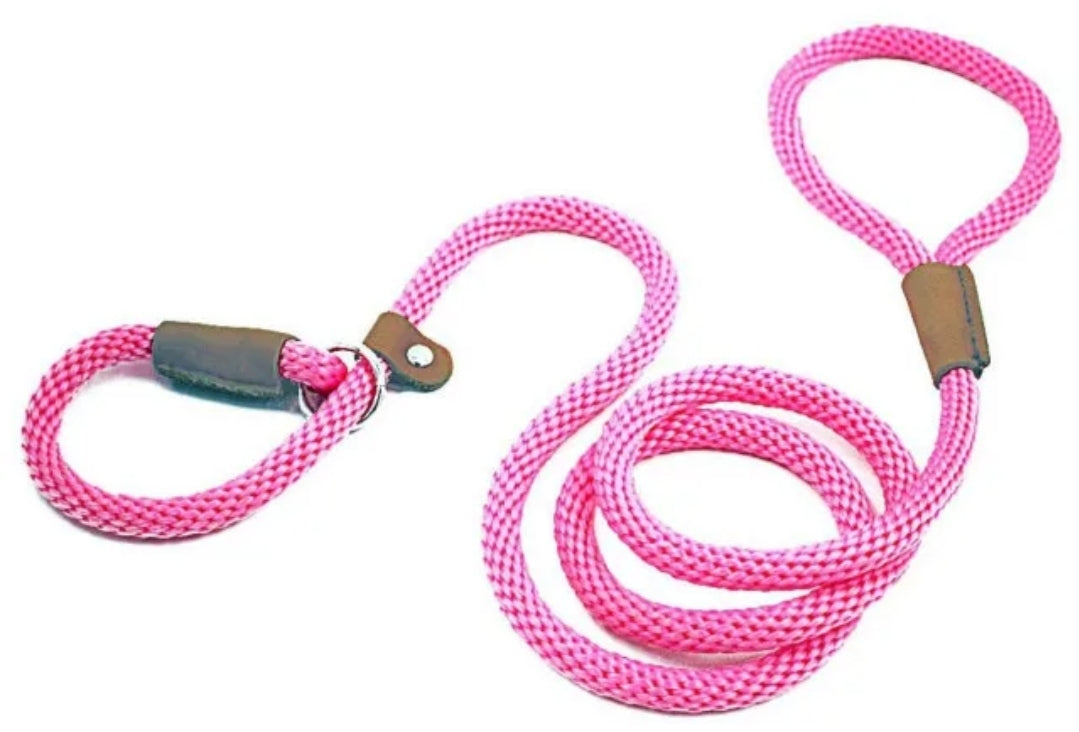 Dog Leash Slip Rope - Budget