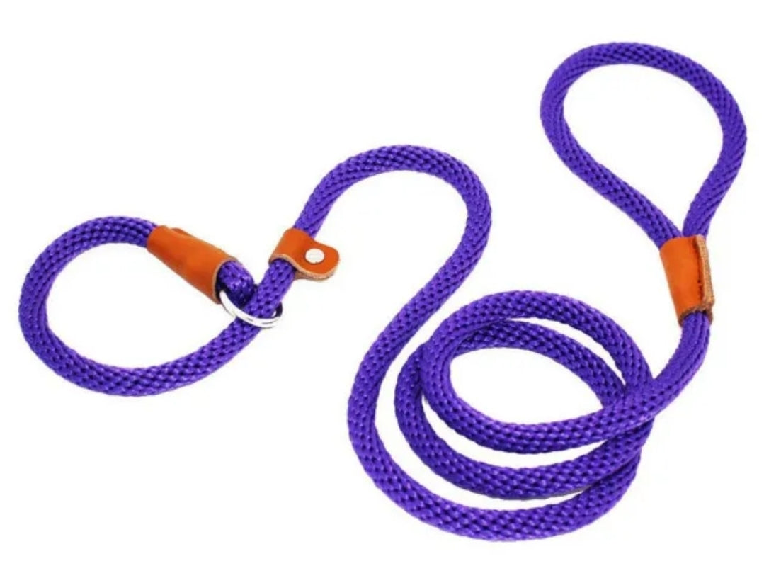 Dog Leash Slip Rope - Budget