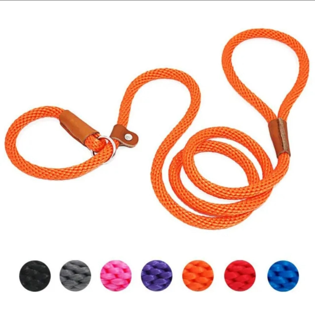 Dog Leash Slip Rope - Budget