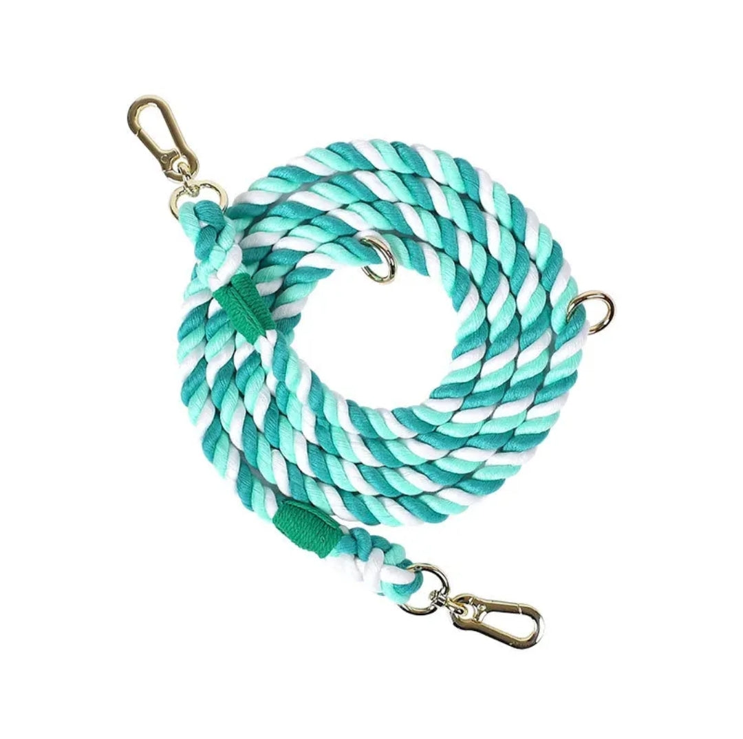 Dog Braided Leash Slip Rope