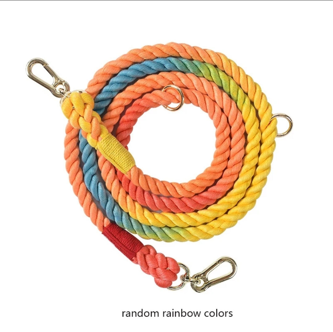 Dog Braided Leash Slip Rope