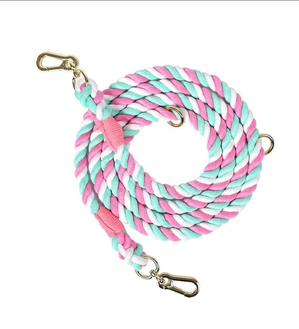 Dog Braided Leash Slip Rope