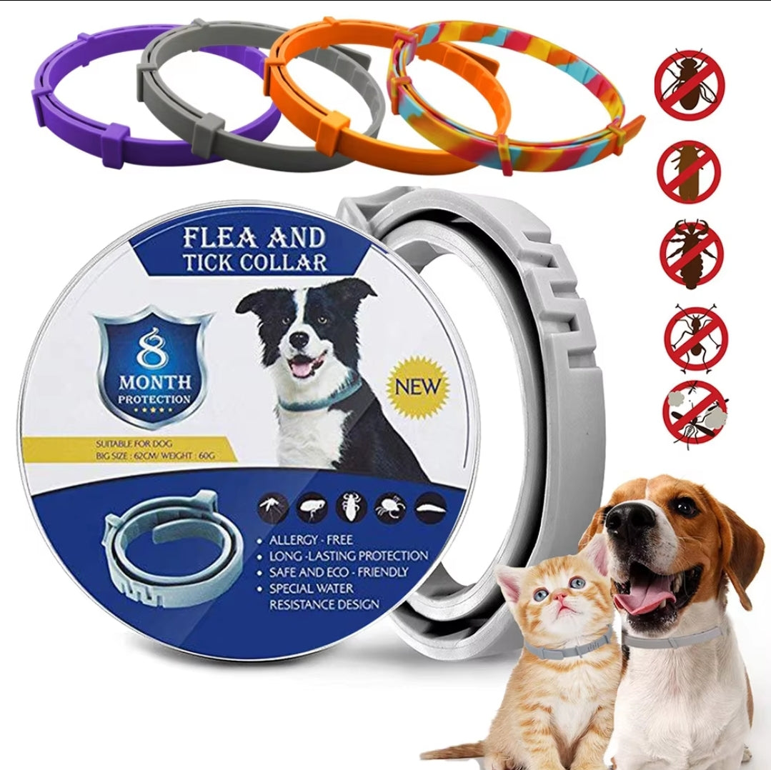 Flea & Tick Collar - Cat & Dog