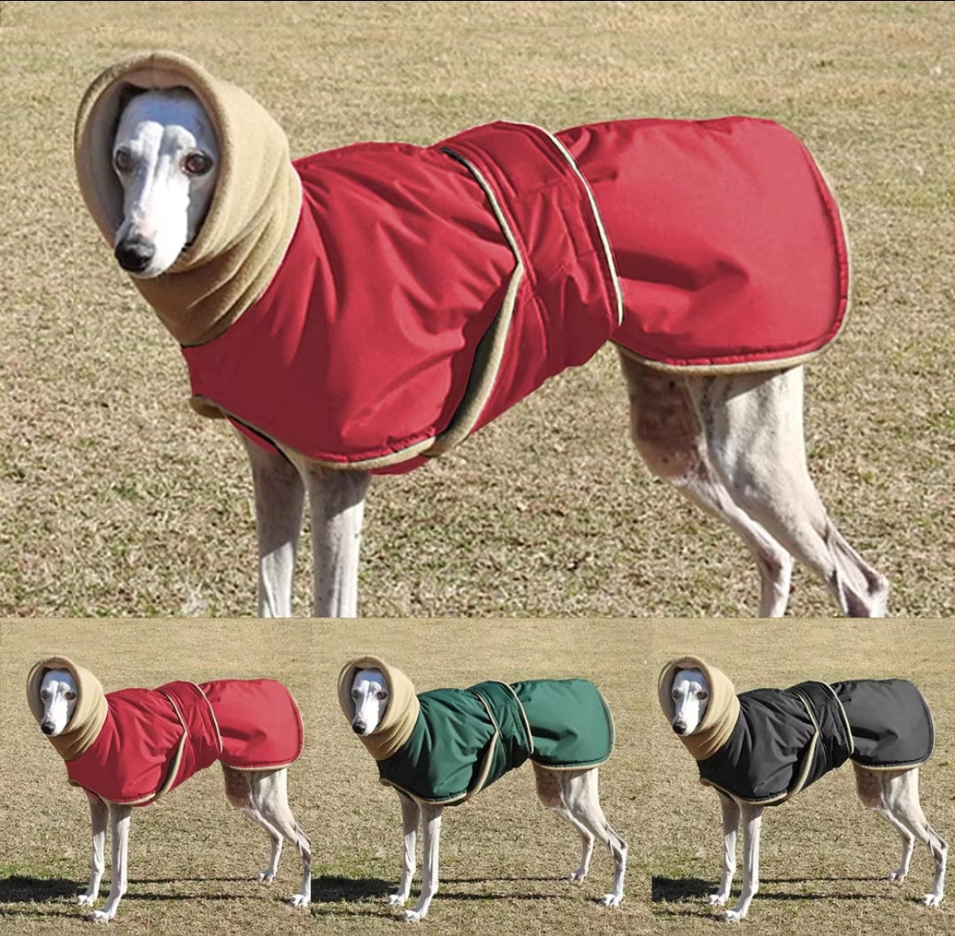 Greyhound Weather Proof Coat