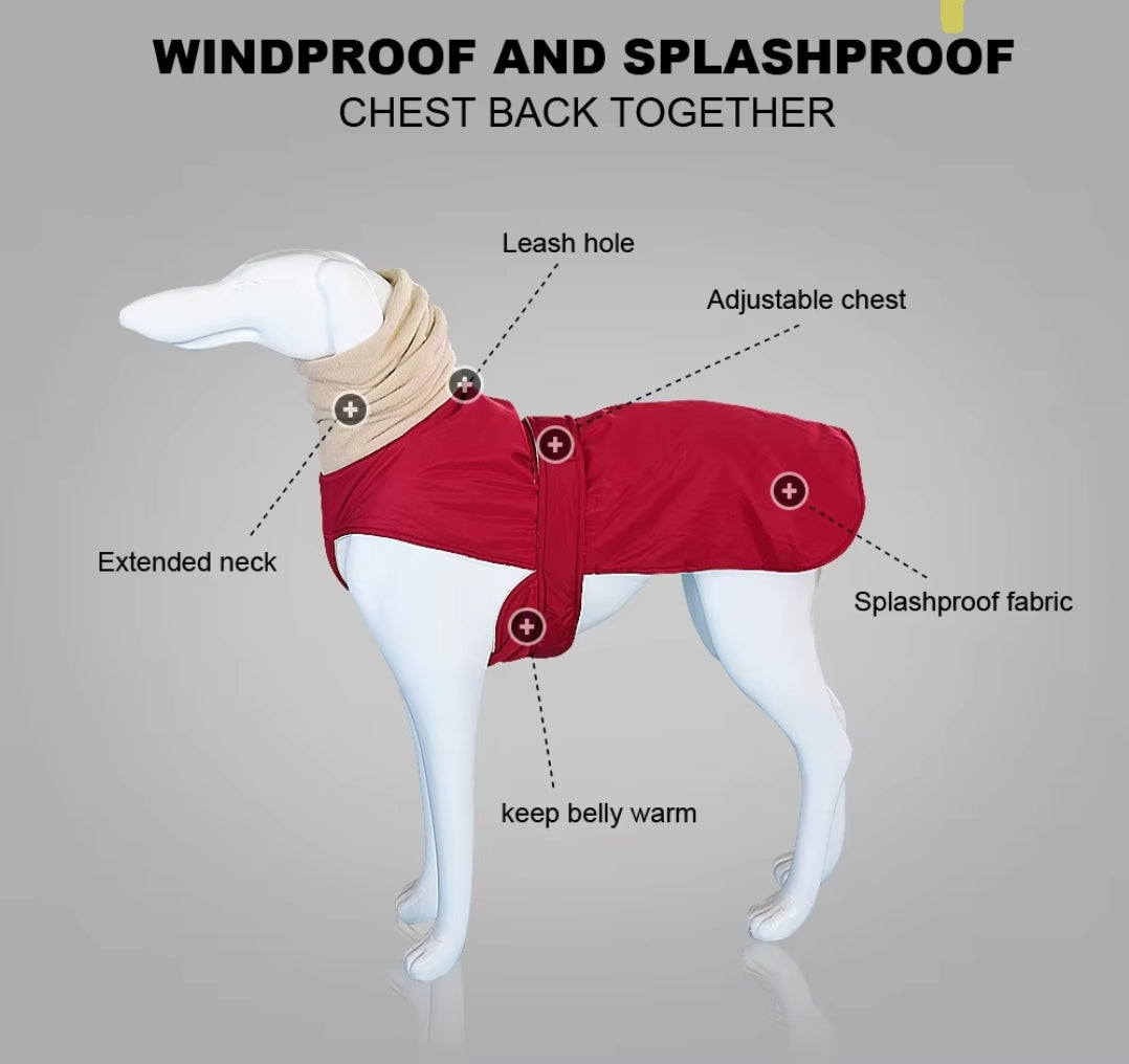 Greyhound Weather Proof Coat