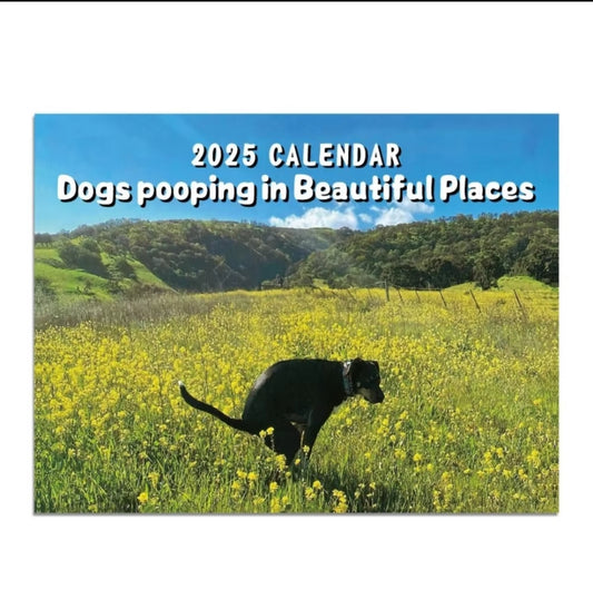 IT'S BACK! Dogs Pooping in nice places 2025 Calendar