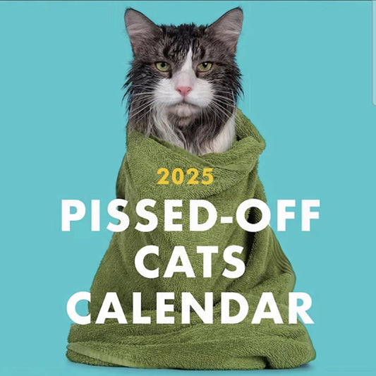 NEW! Pissed Off Cats 2025 Calendar