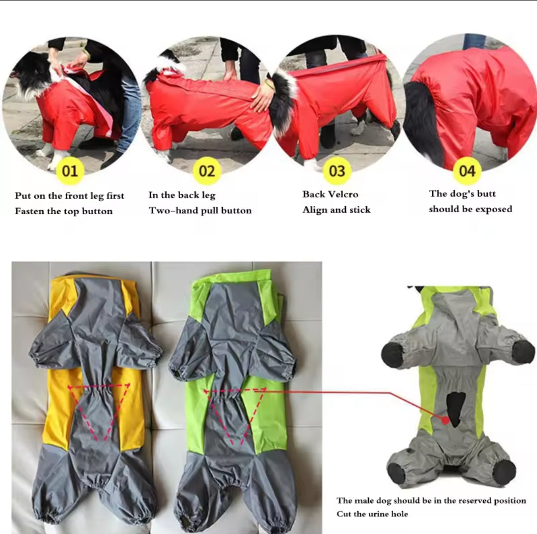 Large Dog Rain Coat - All-In-One