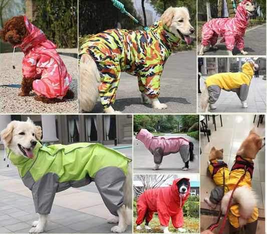 Large Dog Rain Coat - All-In-One