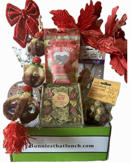 SILVER Bunny Christmas Special Box