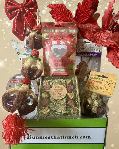 SILVER Bunny Christmas Special Box