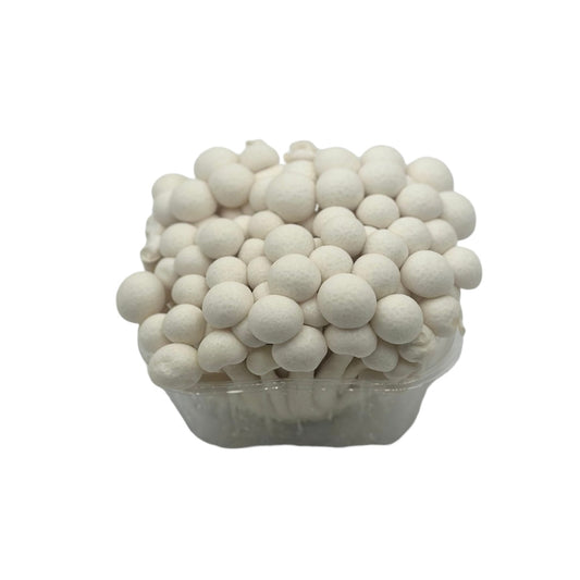 White Hon Shimeji (150g)