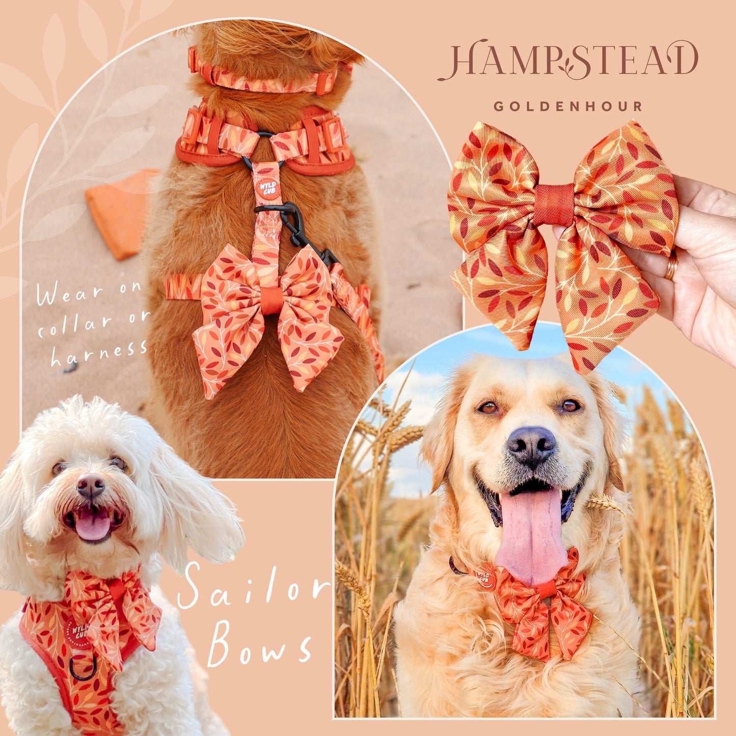 Wyld Cub - Dog Sailor Bow Tie: Hampstead Golden Hour