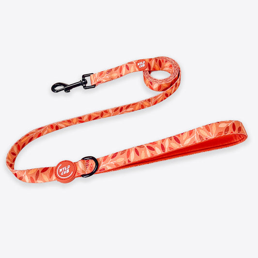 Wyld Cub - Dog Lead: Hampstead Golden Hour