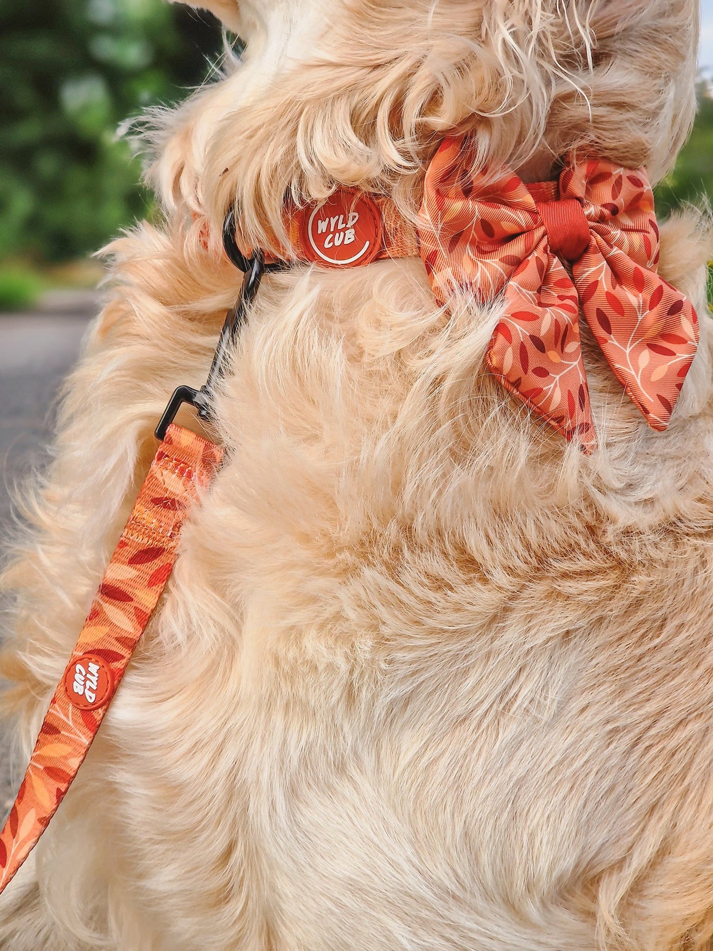 Wyld Cub - Dog Lead: Hampstead Golden Hour