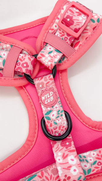 Wyld Cub - Adjustable Dog Harness: Notting Hill Rosé