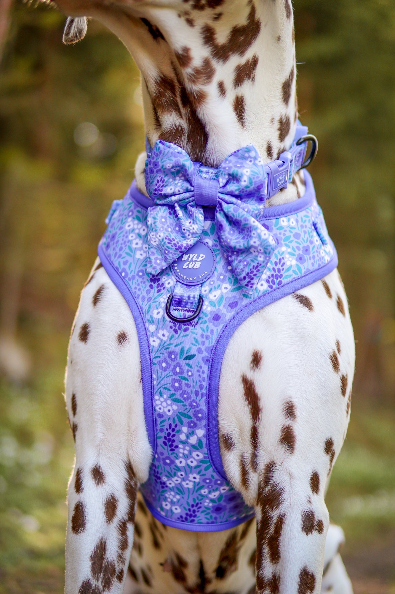 Wyld Cub - Dog Sailor Bow Tie: Notting Hill Wisteria